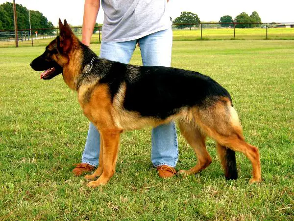 Tripl'H Farah Von Der Amhaus