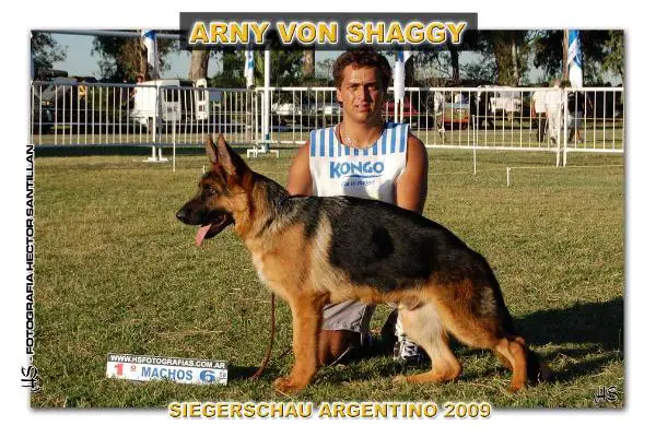 Arny Von Shaggy