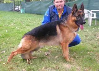 Gero von den zwei Steinen