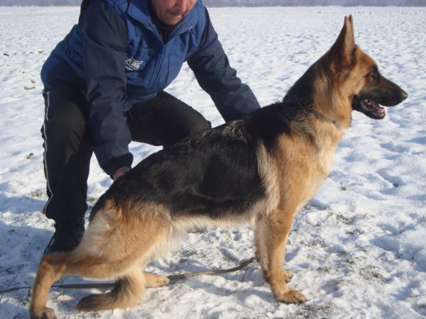 VICESIEGERIN ROMANIA Flora v. Quelleweg