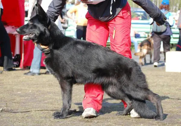 ZILBER WASSERFALL PRIBALTIKA