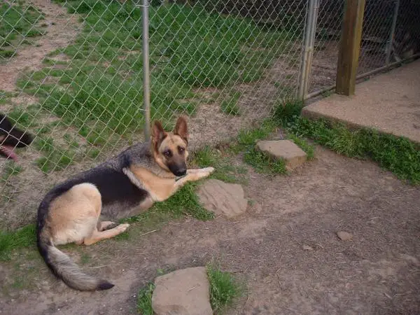 Buck Run's River Belle