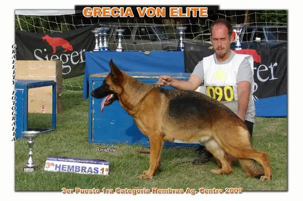 Grecia Von Elite