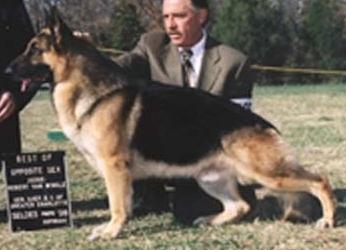 CH (US) Hi-Lo's Tigger