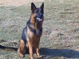 Ebra Von Windigen Hugel