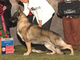 Utopia's Let Freedom Ring