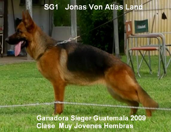 SG1 Jona von Atlas Land