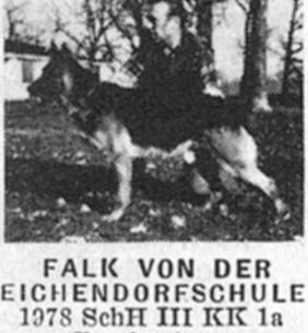BSP Sieger 1978 Falk von der Eichendorfschule