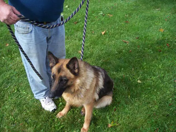 Oleah Grams Von Ajaye