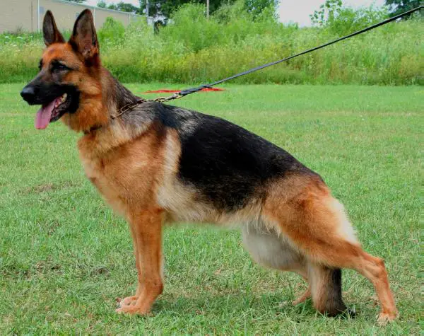 V Isha vom Mittelwest