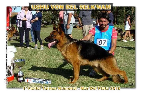 Ushu Von Del Selk´Nam