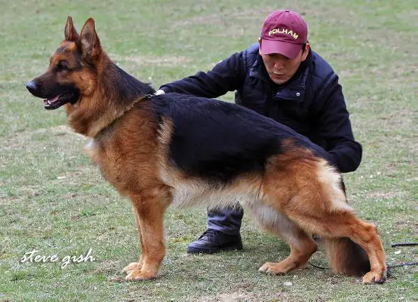 V-2 Imar van Staring