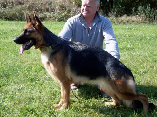 V Queen vom Höchstadter Wehr