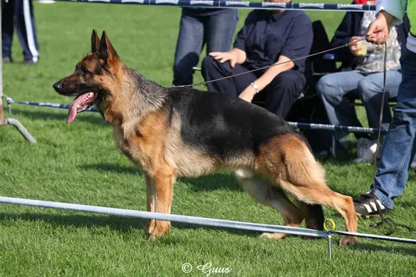 Lauser V.H. Spienolahof