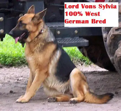 Lord Vons Sylvia