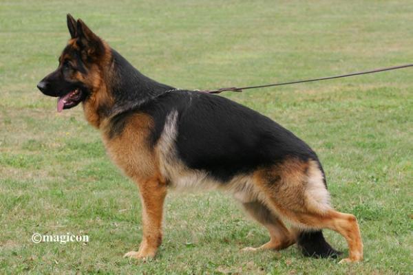 V1, CH. Conbhairean Waro