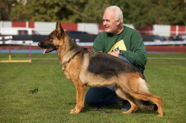 Iverija is Sapiegines