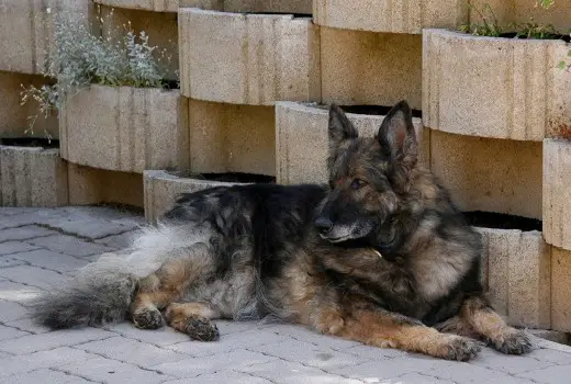 V Zora vom alten Felsenkeller