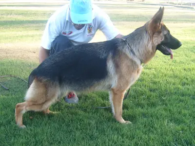 Ambar Von Bassenburg