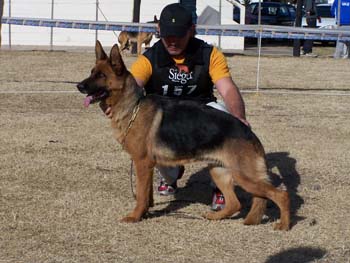 Yakira de los Mares del Sur