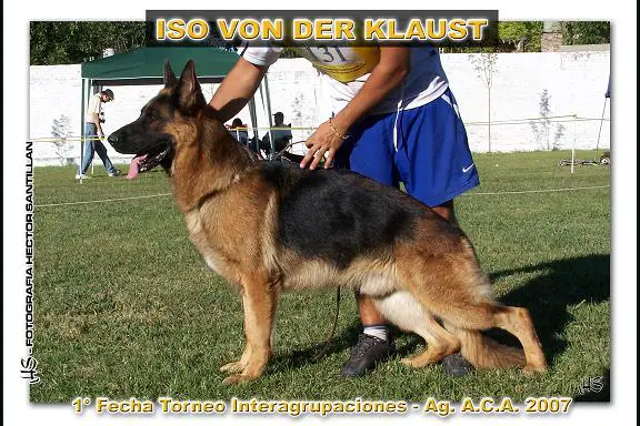 Iso Von Der Klaust