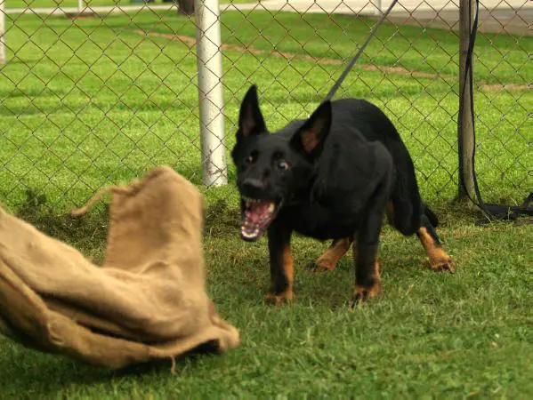 Sylum Vom Ruytershof