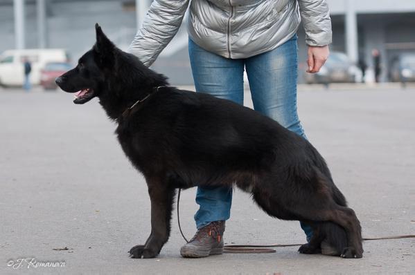 R.CAC,V(UA) Wasko Don Anne Hof