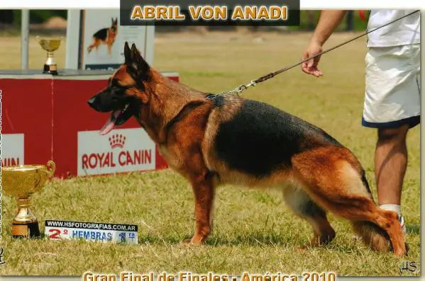 EXC. 3 (ARG) Abril Von Anadi