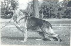 Lornaville His Lordship