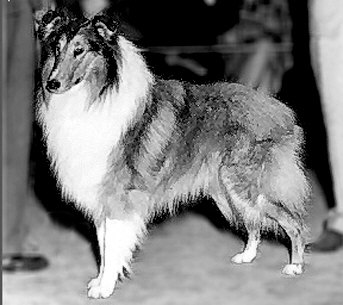 GBCH Larkena Rabelias