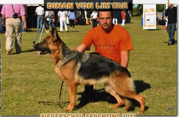 Dinan Von Limtar