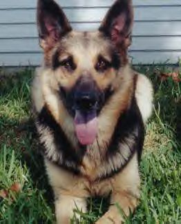 Athena Von Vedor Mammoth Haus