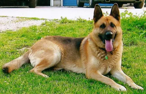 Mark and Kari's Maximillion