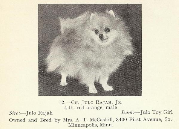 CH Julo Rajah Jr