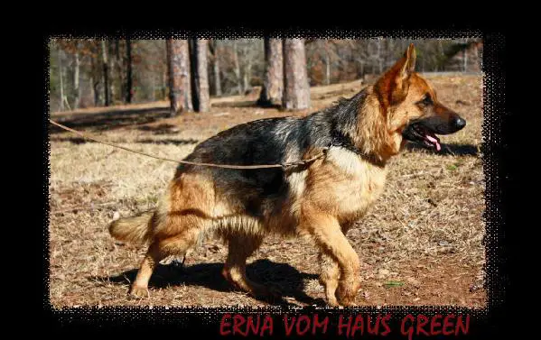 Erna Vom Haus Green