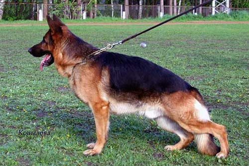 V (RU) Vladyka Morja iz Serebryanogo Vodopada