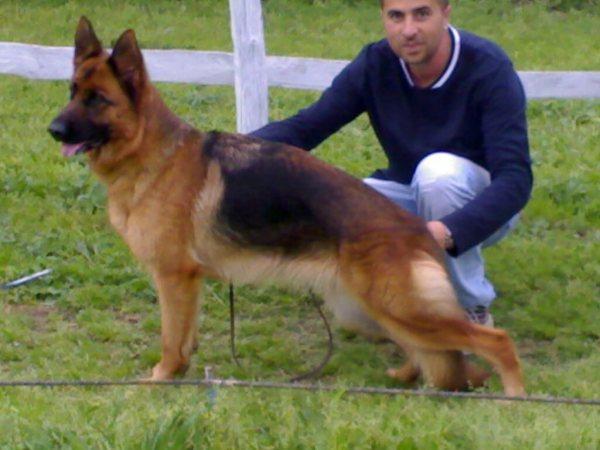 Clary del Re Kokalos