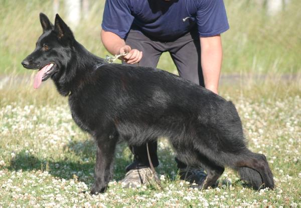 Zilber Wasserfall Zasky