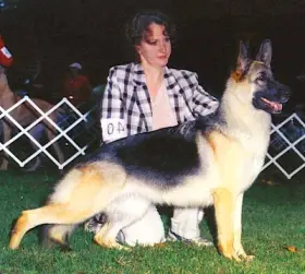 CH (US) Kenlyn's Connie v Kaleef