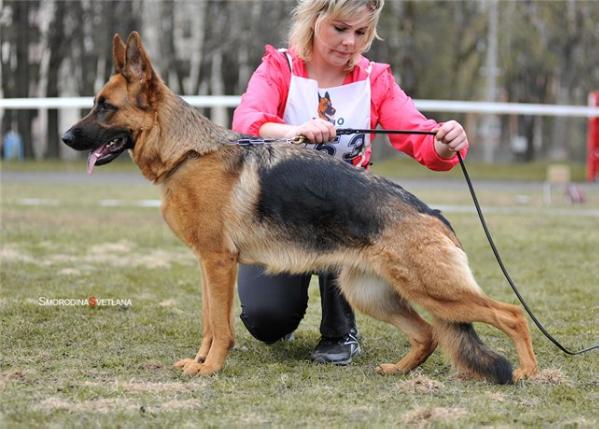 Klarissa iz Doma Infanti