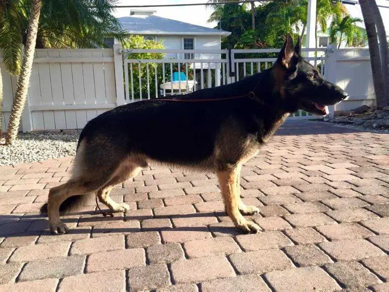 Sawyer's Taiko Von Johnson