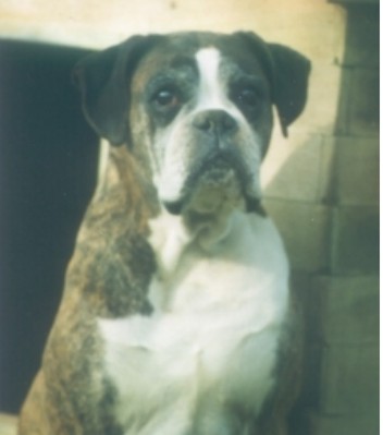 Varina v d Burg Dinklage