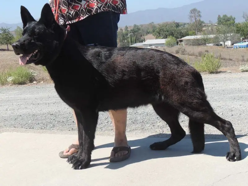 Kira Von Jagermeister Haus