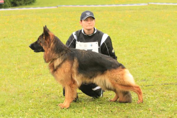 BALT JCH, LV CH, V1 Chanel Lemiselburg