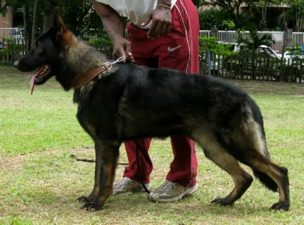 Kaiser vom Casa Nossa