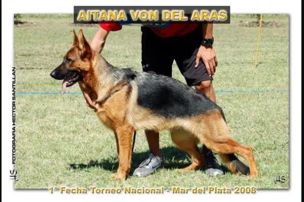 Aitana Von Del Aras