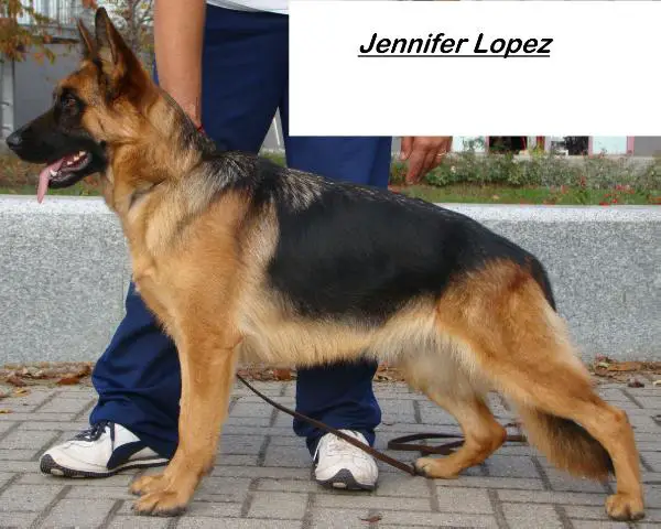 Jennifer Lopez (*)