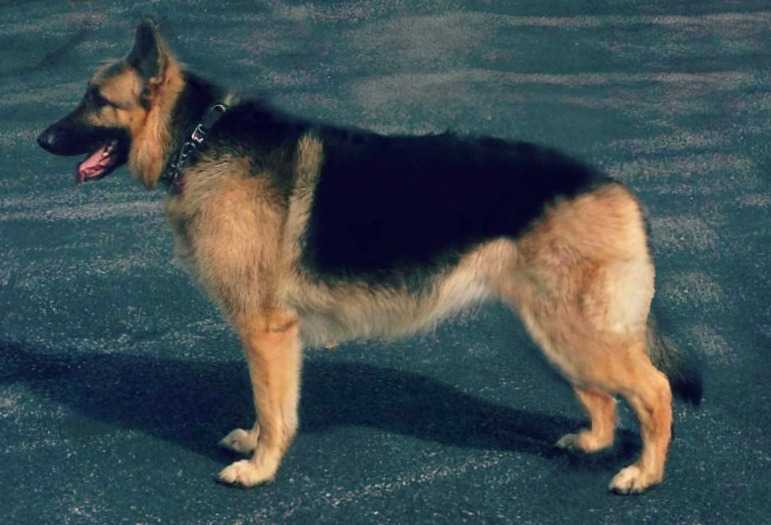 Trinka Von Fink Younger Munro