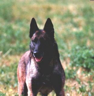 Horka du Cami de Cathéric