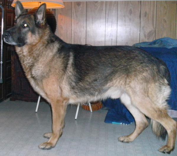 Ezekiel Second to None